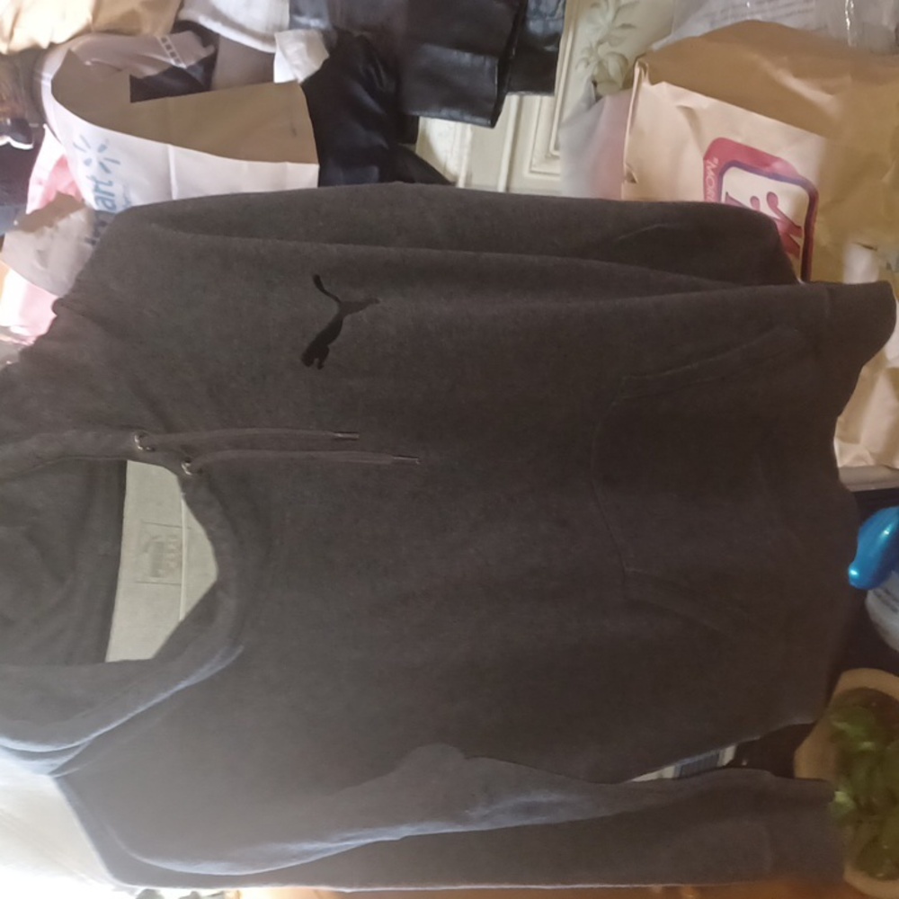 2/$12 PUMA Hooded Sweatshirt